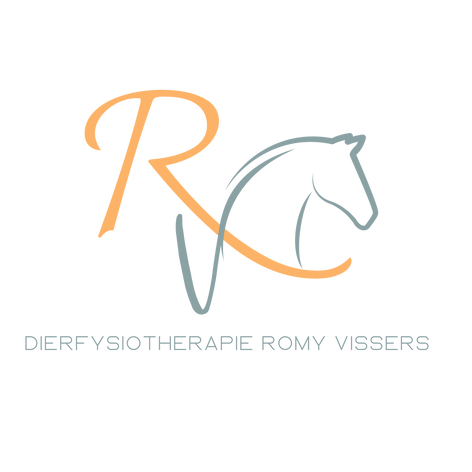 dierfysiotherapieromyvissers.nl