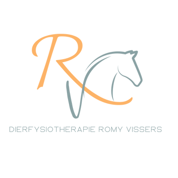 Dierfysiotherapie 